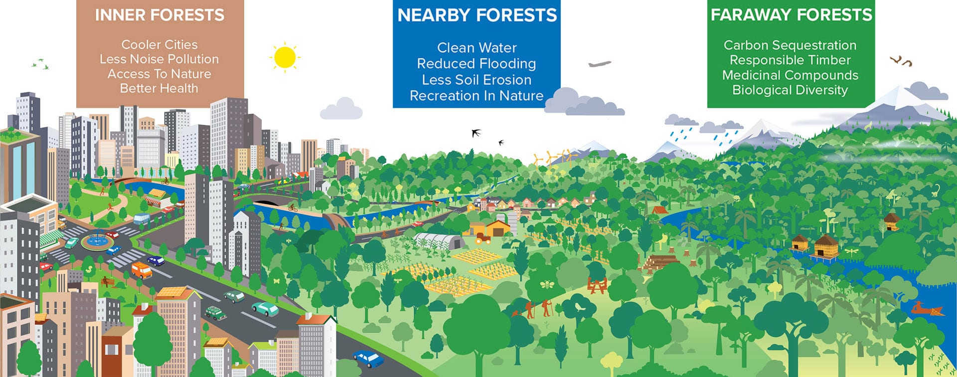 Cities4forests Commitment To Social Equity Cities4forests