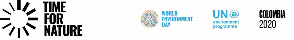 UN_WED2020_Horizontal_Logo_LockUp_English_CMYK-Copy-1024x221