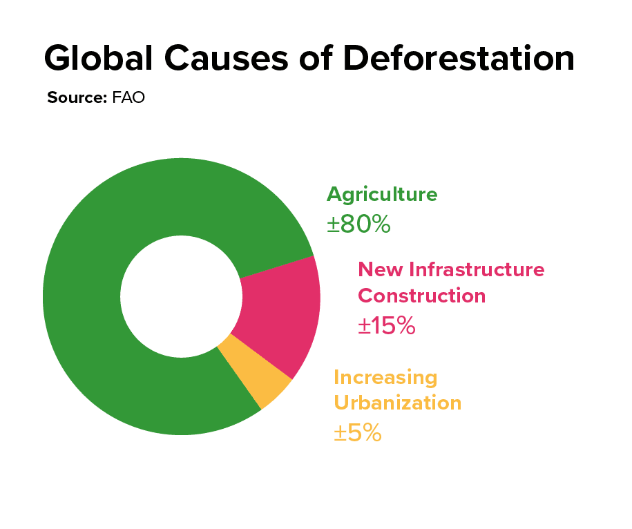 Deforestation Chart FAO)
