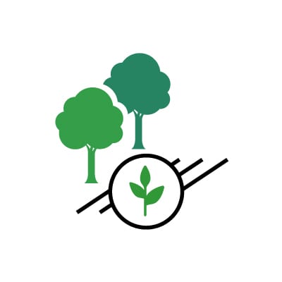 agroforestry