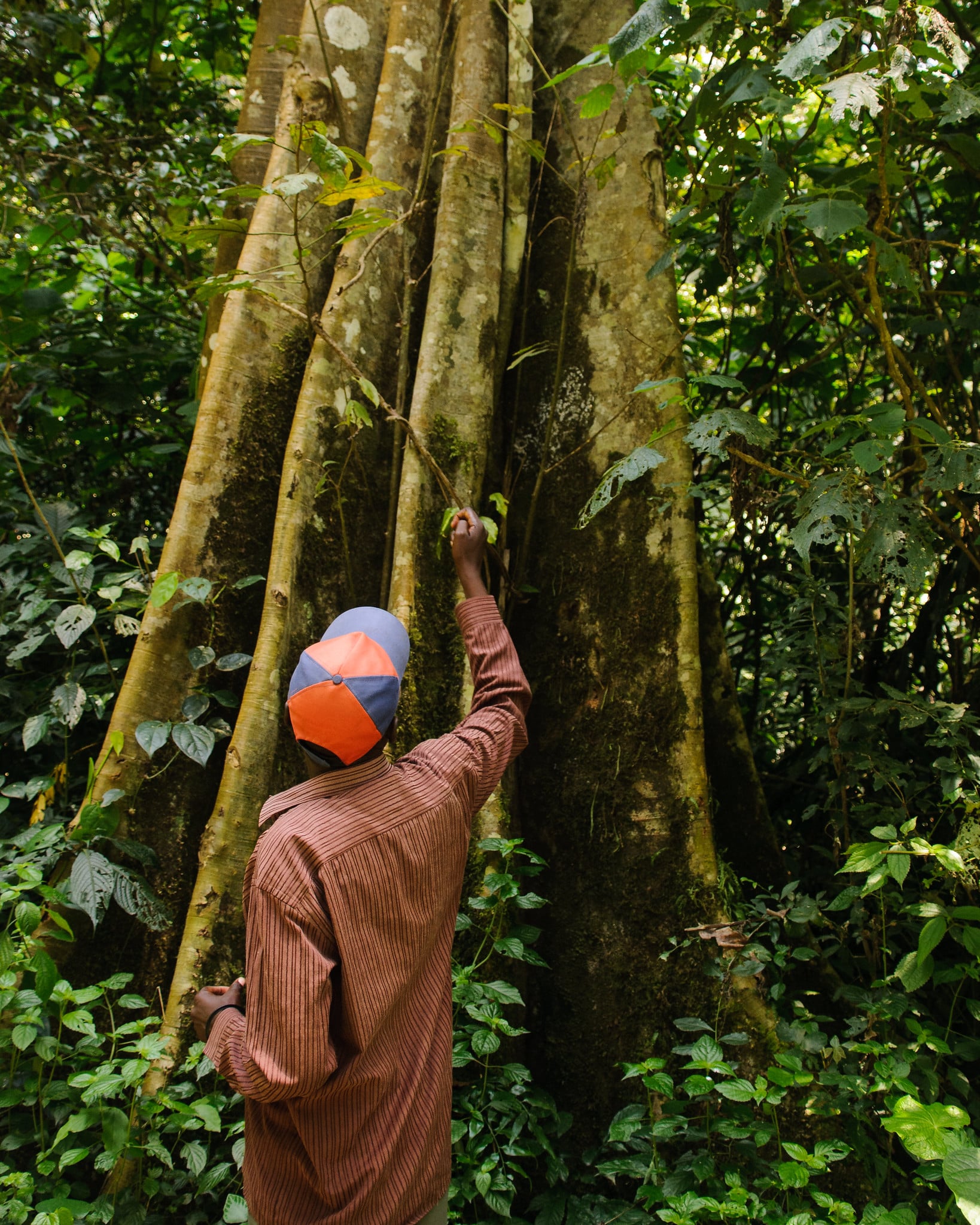 Climate and Water Risk in Africa: 3 Ways to Scale Up Nature-Based Solutions  for a More Resilient Future - Cities4Forests