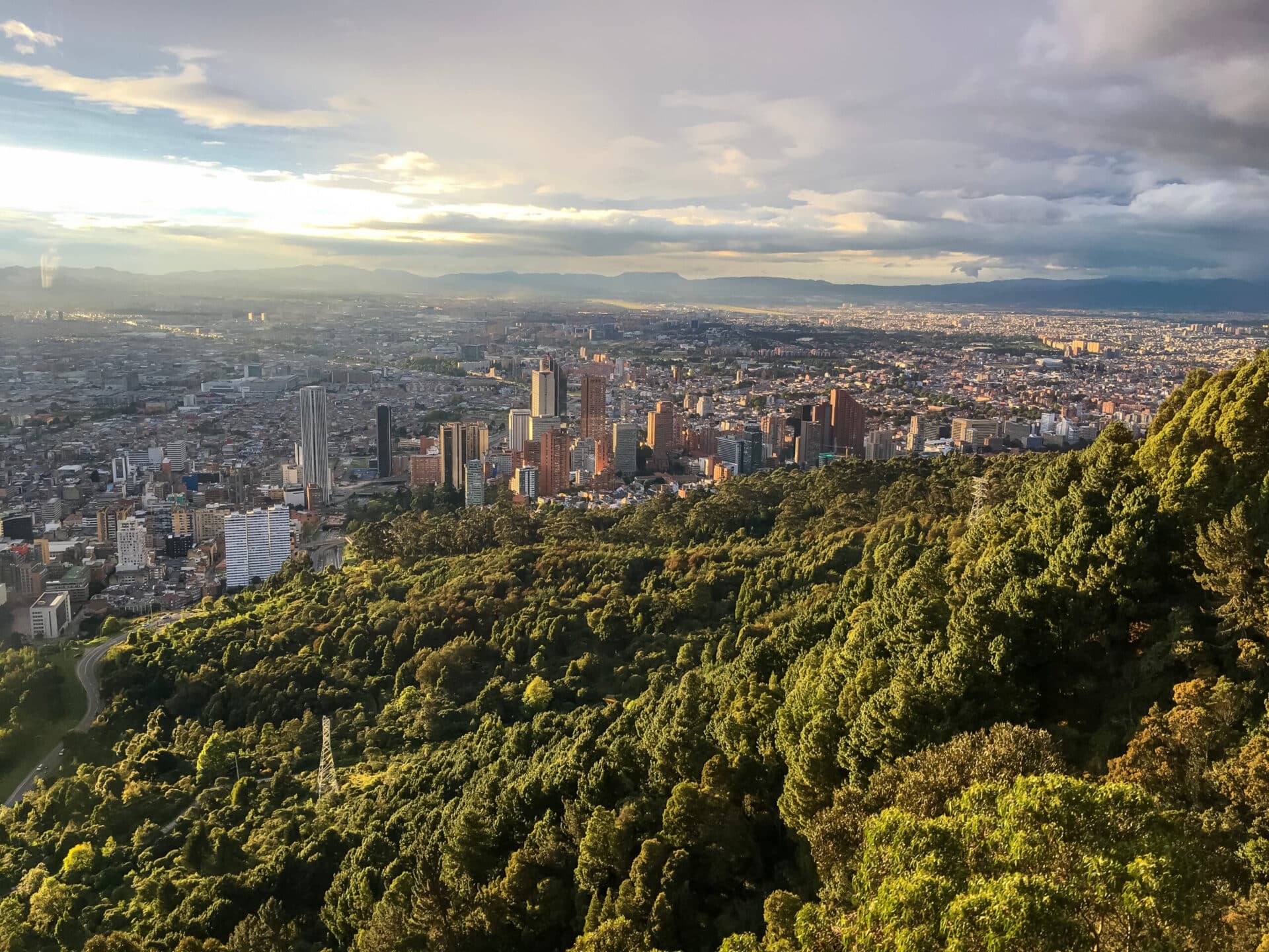 Cities4Forests 2022 Year in Review: Unlocking the Power of Nature for ...