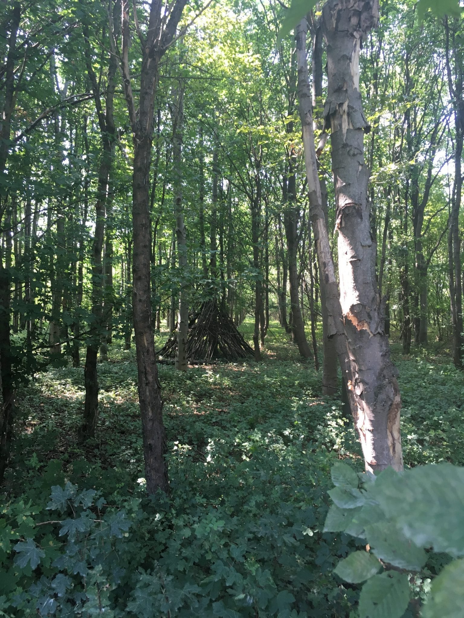 In the “Memorial forest” (Gedenkwald) 65,000 trees are planted to commemorate those lost in the Holocaust from the Jewish society.