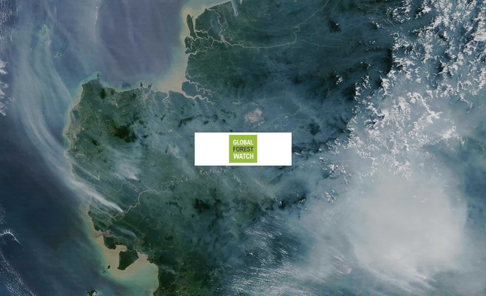 Global Forest Watch (GFW) - Cities4Forests