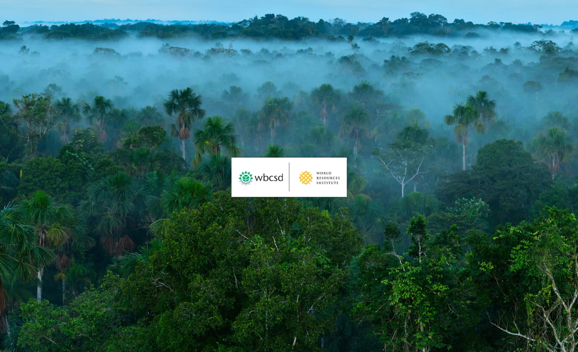 Sustainable Procurement Guide - Cities4Forests