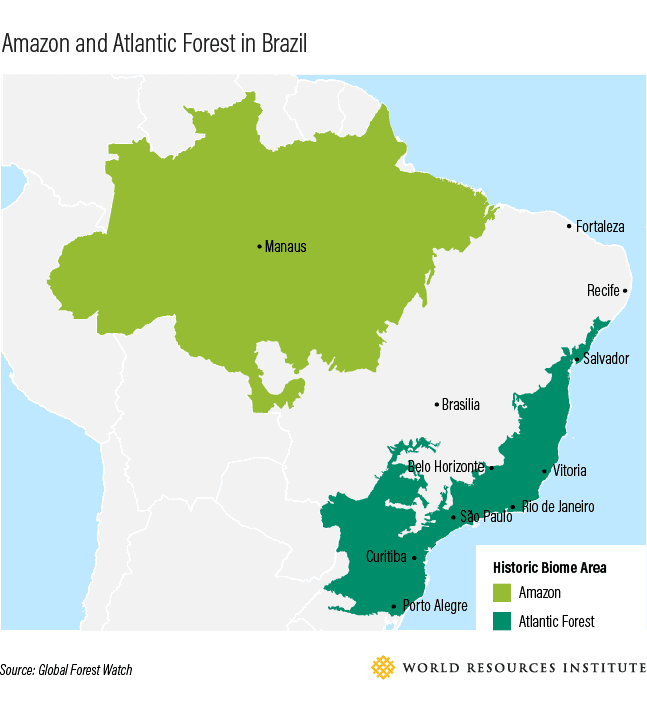 The Other Brazilian Rainforest: Why Restoring the Atlantic Forest Can Help  Tackle Climate Change - Cities4Forests