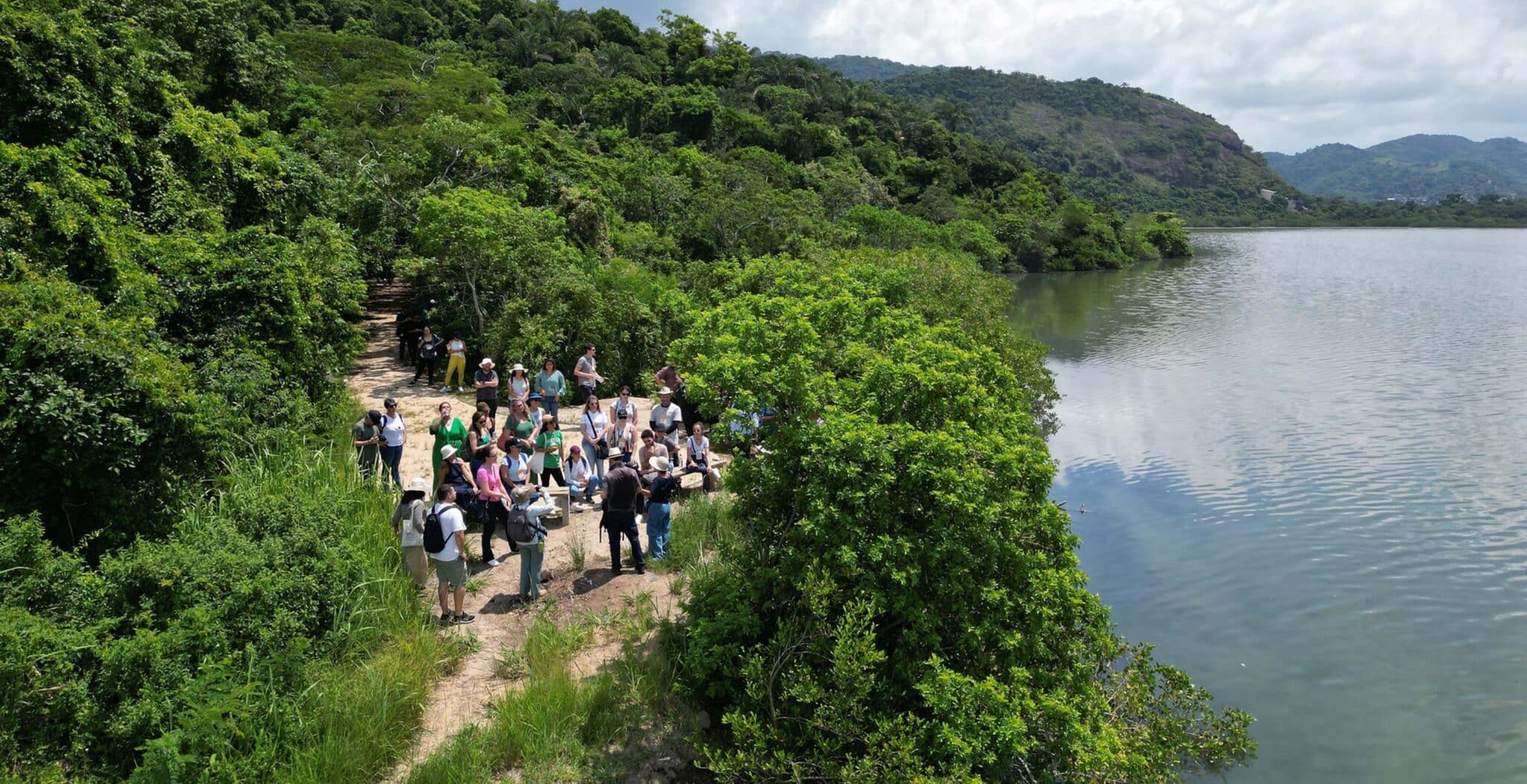 Nature-Based Solutions Accelerator in Brazil - Cities4Forests