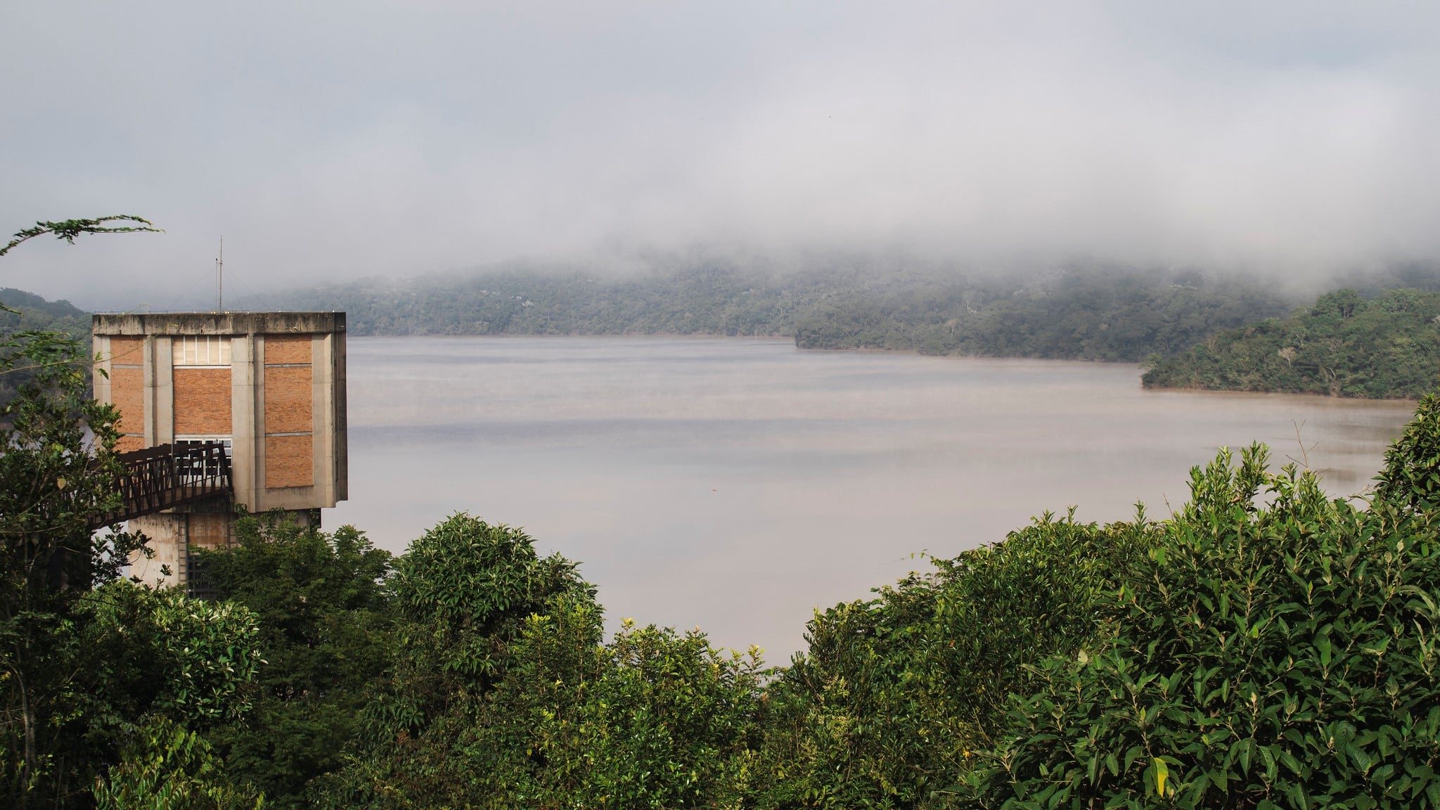 A large body of water with trees and a water tower in the forefront