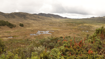 Incorporating Natural Infrastructure in Bogotá’s Water System