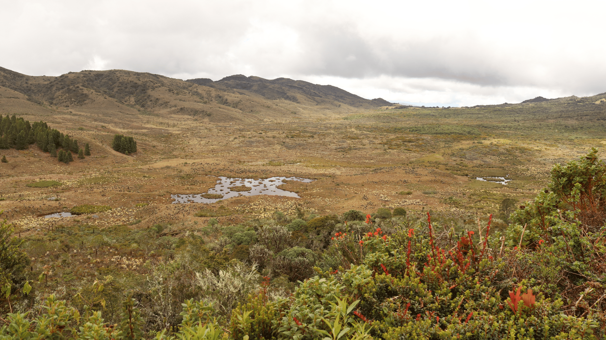 A small patch of water sitting within a hilly brown and green landscape.