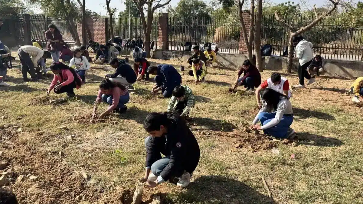 A group of students planting trees in an open field.