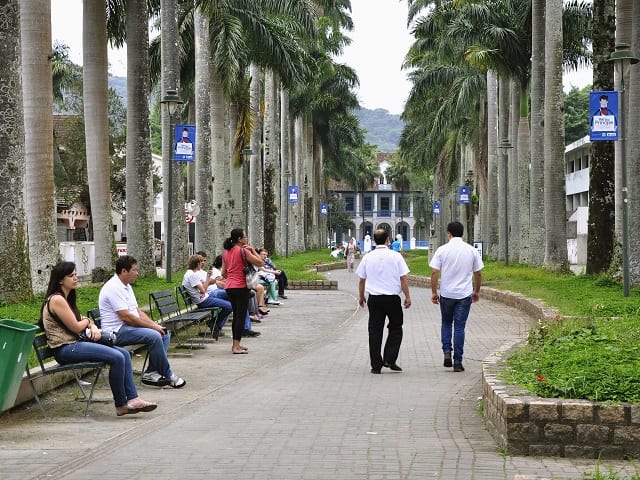 Joinville Brazil is a Leading Proponent of Urban Trees to fight climate change.