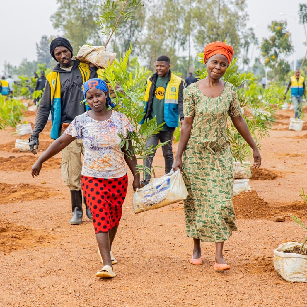 Two women carry a tree sapling at a tree planting event in Kigali.