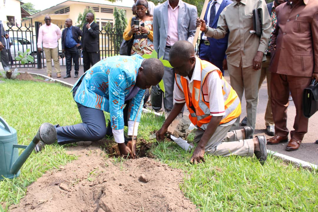 Two people plant a sapling into the ground as a crowd watches.